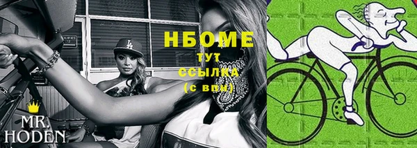 шишки Саяногорск