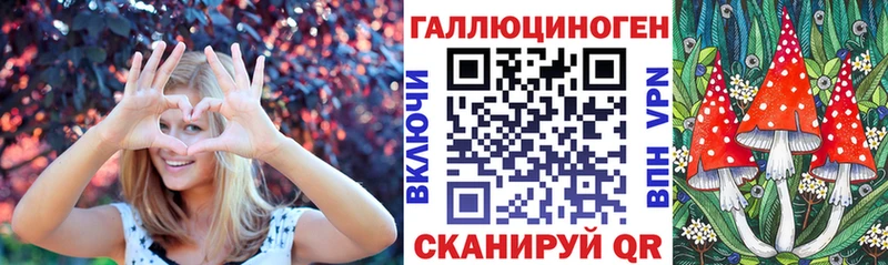 Галлюциногенные грибы мухоморы Афипский